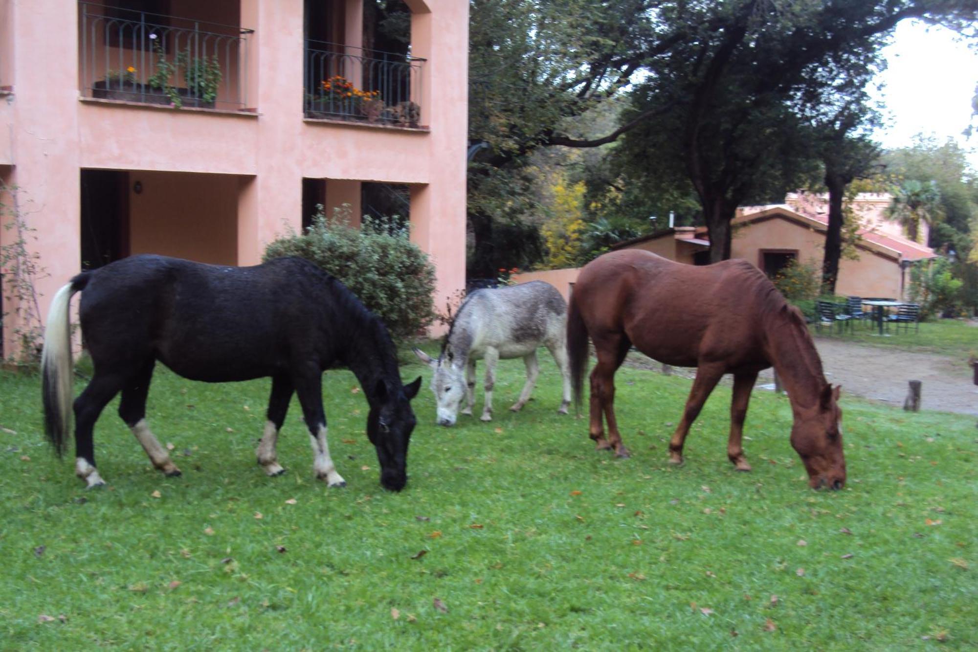 Hotel Loma Bola La Paz  ภายนอก รูปภาพ
